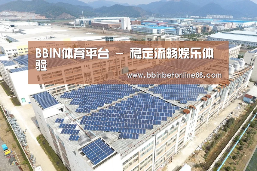 案例展示三