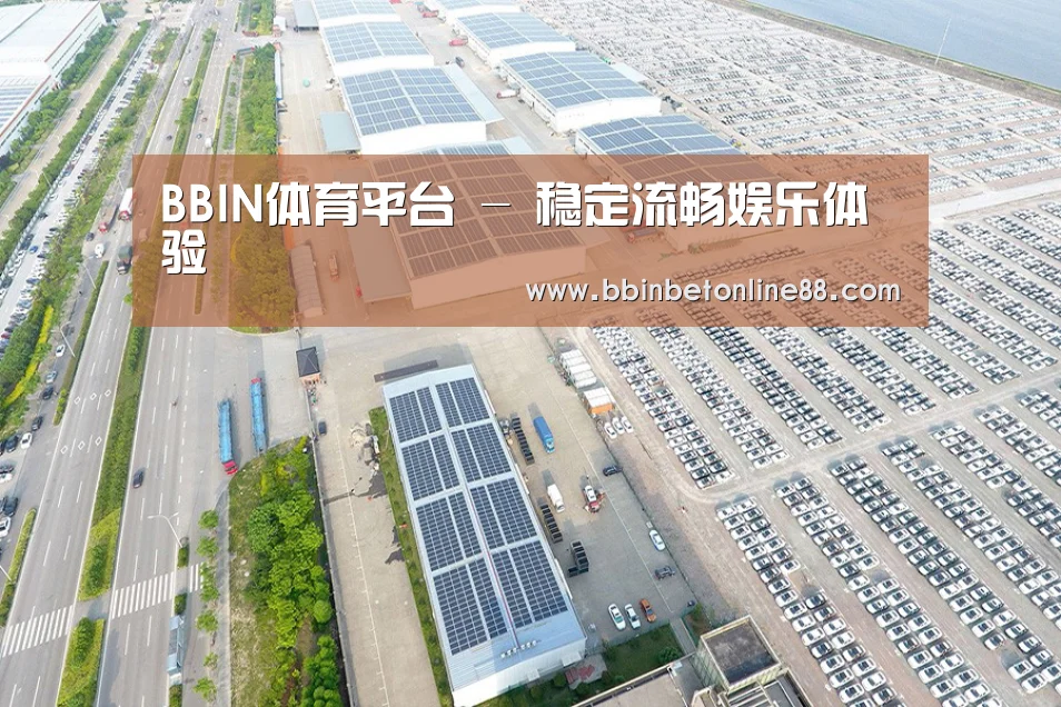 案例展示一