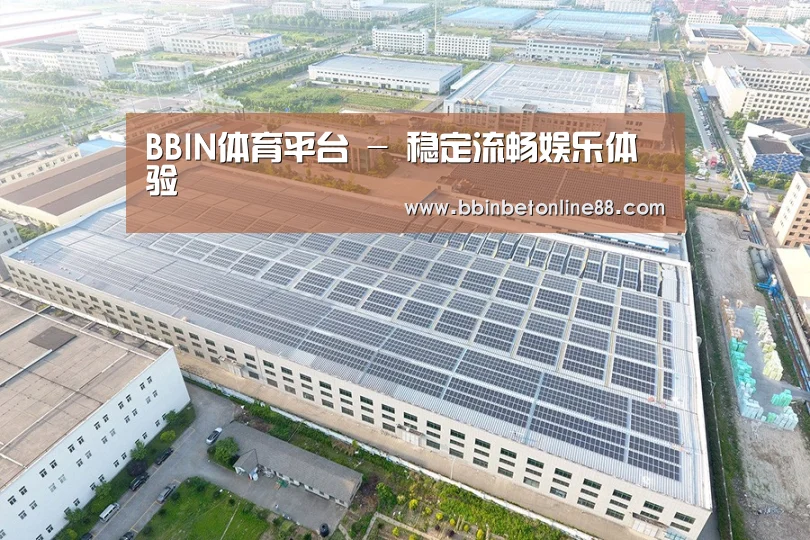 案例展示三