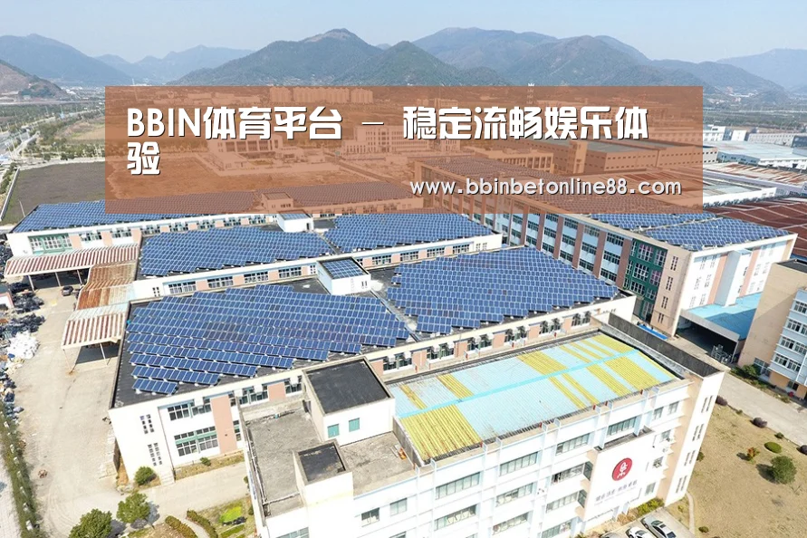 案例展示三