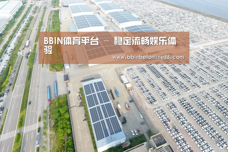 案例展示二
