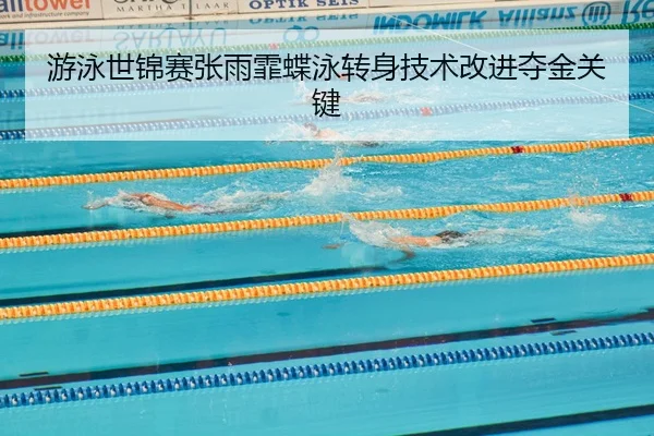 you-yong-shi-jin-sai-zhang-yu-fei-die-yong-zhuan-shen-ji-shu-gai-jin-duo-jin-guan-jian-2-292.jpg