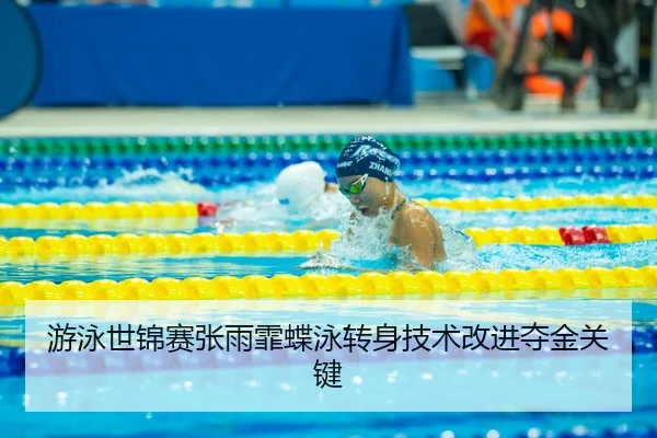you-yong-shi-jin-sai-zhang-yu-fei-die-yong-zhuan-shen-ji-shu-gai-jin-duo-jin-guan-jian-3-936.jpg
