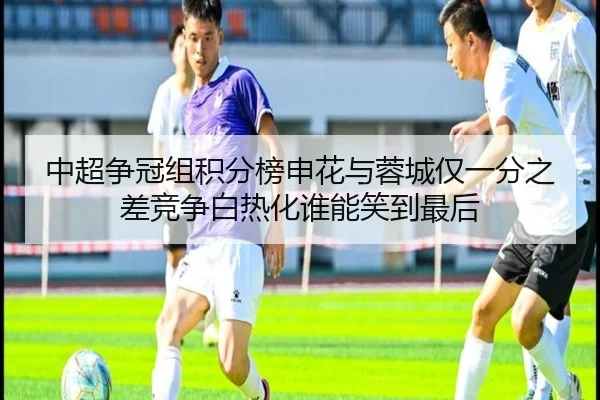 zhong-chao-zheng-guan-zu-ji-fen-bang-shen-hua-yu-rong-cheng-jin-yi-fen-zhi-cha-jing-zheng-bai-re-hua-shui-neng-xiao-dao-2-723.jpg