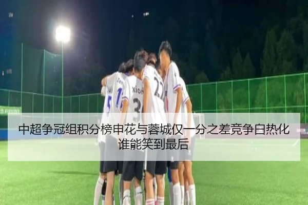 中超争冠组积分榜申花与蓉城仅一分之差竞争白热化谁能笑到最后