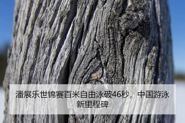 pan-zhan-le-shi-jin-sai-bai-mi-zi-you-yong-po-miao-zhong-guo-you-yong-xin-li-cheng-bei-2-228.jpg